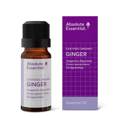 Absolute Essential - Ginger Essential Oil